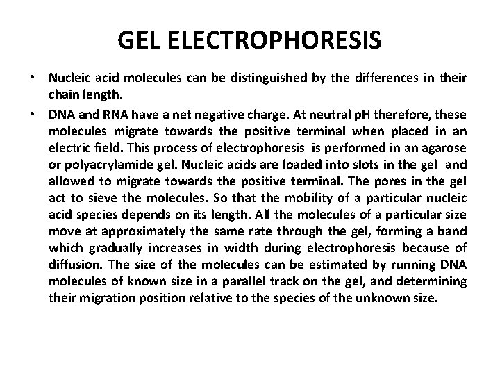 GEL ELECTROPHORESIS • Nucleic acid molecules can be distinguished by the differences in their