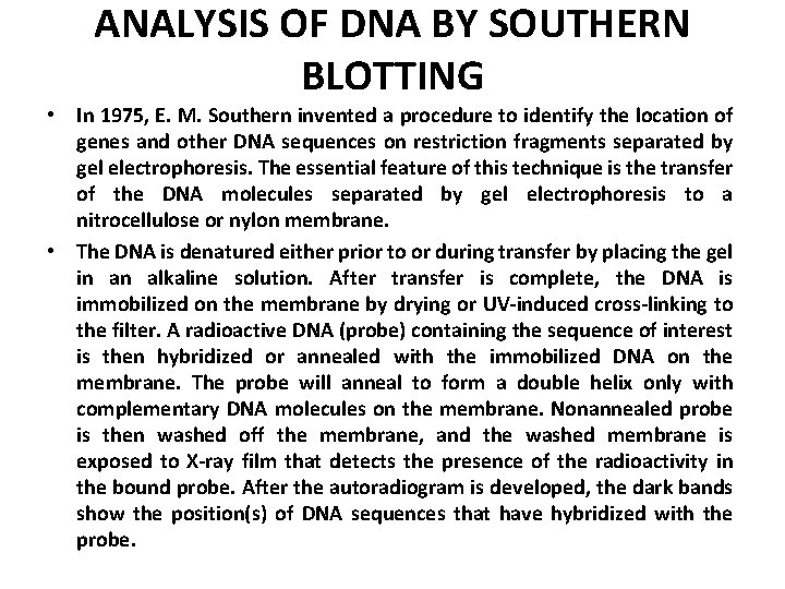 ANALYSIS OF DNA BY SOUTHERN BLOTTING • In 1975, E. M. Southern invented a