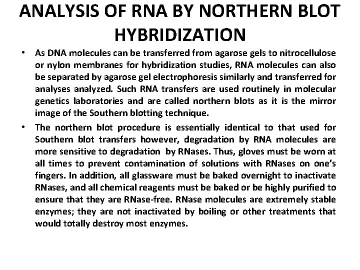 ANALYSIS OF RNA BY NORTHERN BLOT HYBRIDIZATION • As DNA molecules can be transferred