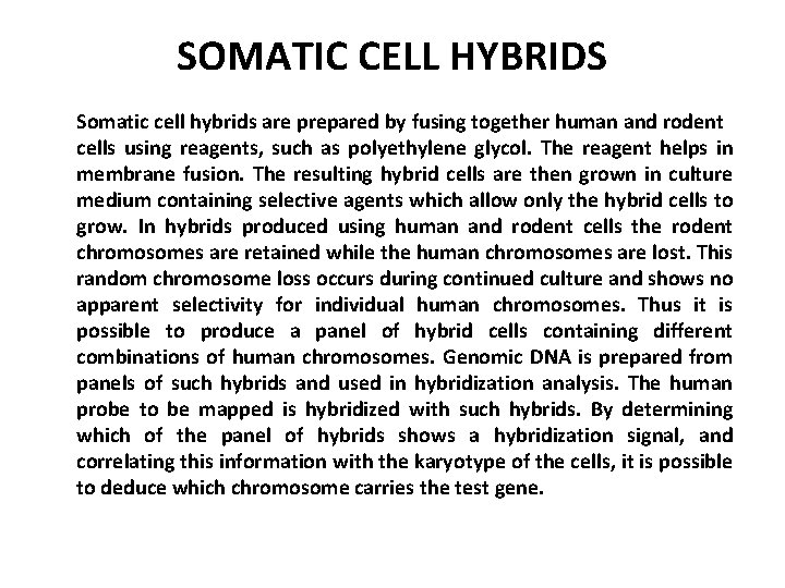 SOMATIC CELL HYBRIDS Somatic cell hybrids are prepared by fusing together human and rodent