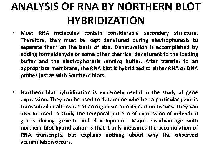 ANALYSIS OF RNA BY NORTHERN BLOT HYBRIDIZATION • Most RNA molecules contain considerable secondary