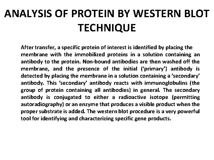 ANALYSIS OF PROTEIN BY WESTERN BLOT TECHNIQUE After transfer, a specific protein of interest