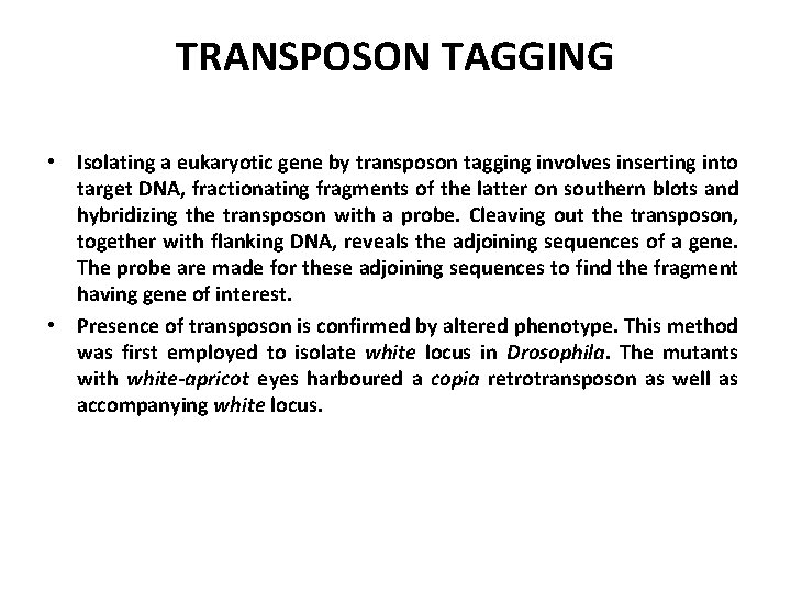 TRANSPOSON TAGGING • Isolating a eukaryotic gene by transposon tagging involves inserting into target