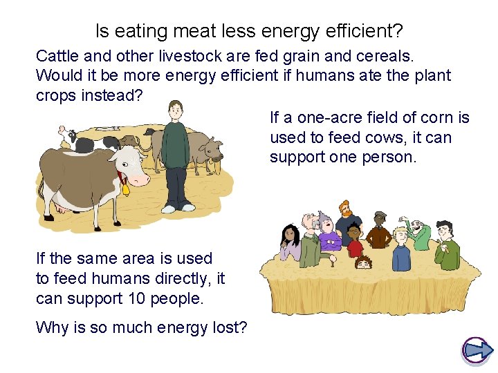 Is eating meat less energy efficient? Cattle and other livestock are fed grain and