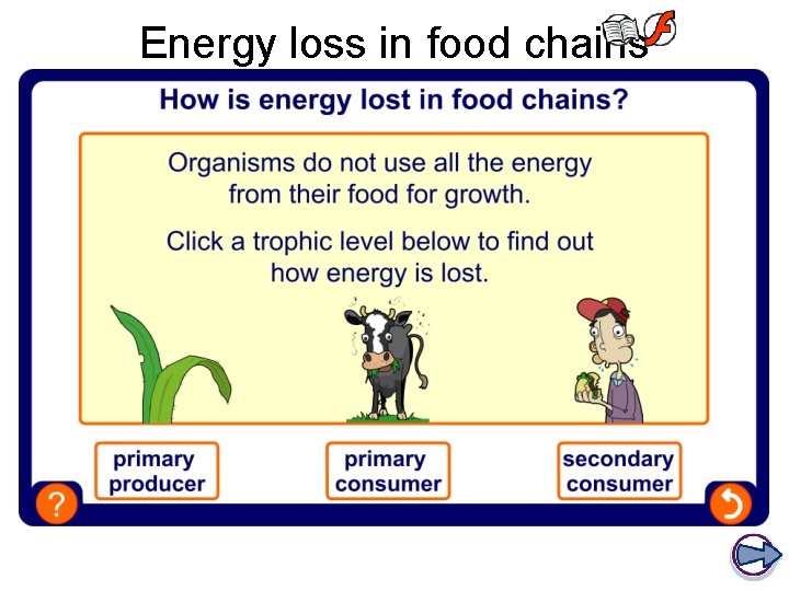 Energy loss in food chains 