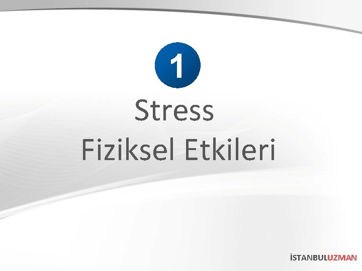 1 Stress Fiziksel Etkileri İSTANBULUZMAN 