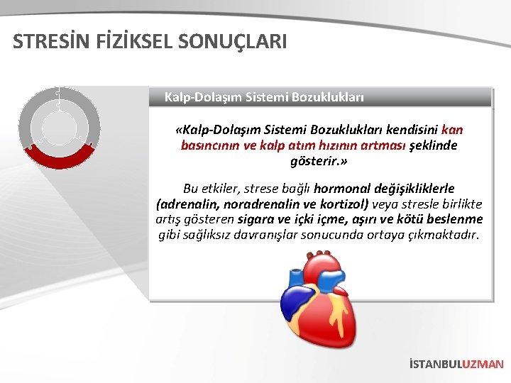 STRESİN FİZİKSEL SONUÇLARI Kalp-Dolaşım Sistemi Bozuklukları «Kalp-Dolaşım Sistemi Bozuklukları kendisini kan basıncının ve kalp