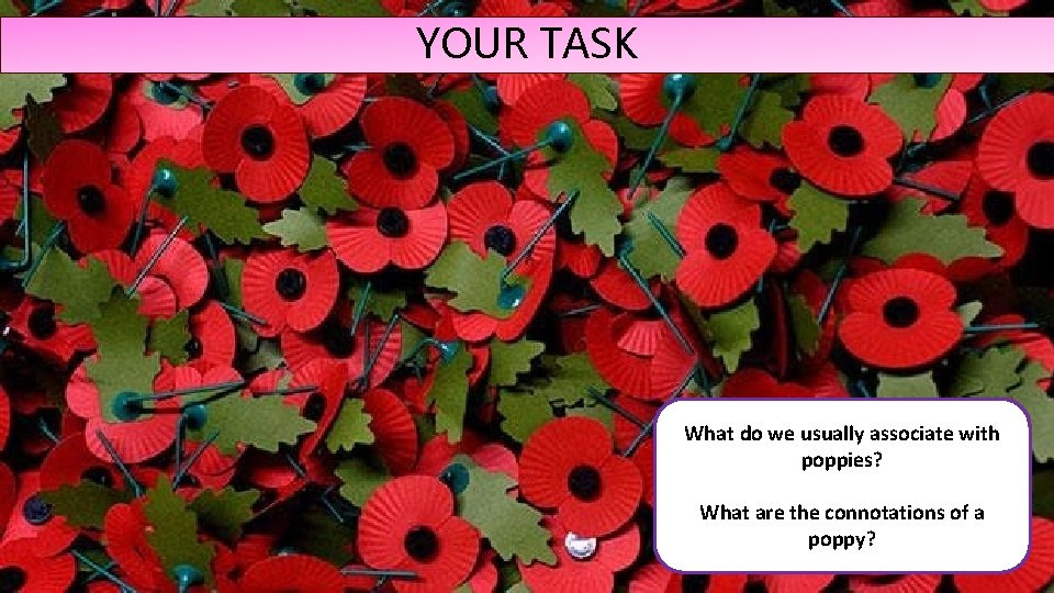 YOUR TASK What do we usually associate with poppies? What are the connotations of