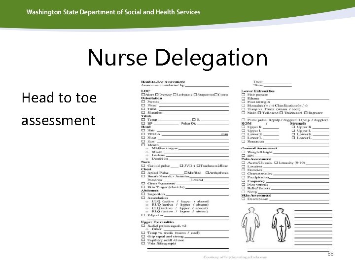 Nurse Delegation Head to toe assessment 88 