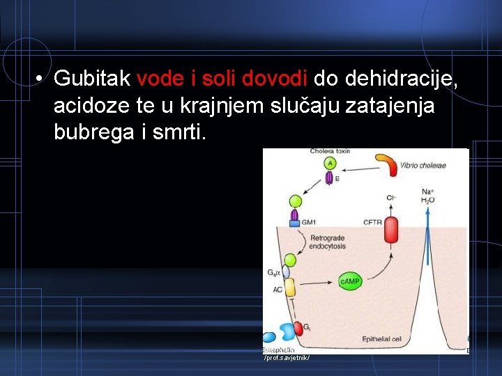  • Gubitak vode i soli dovodi do dehidracije, acidoze te u krajnjem slučaju