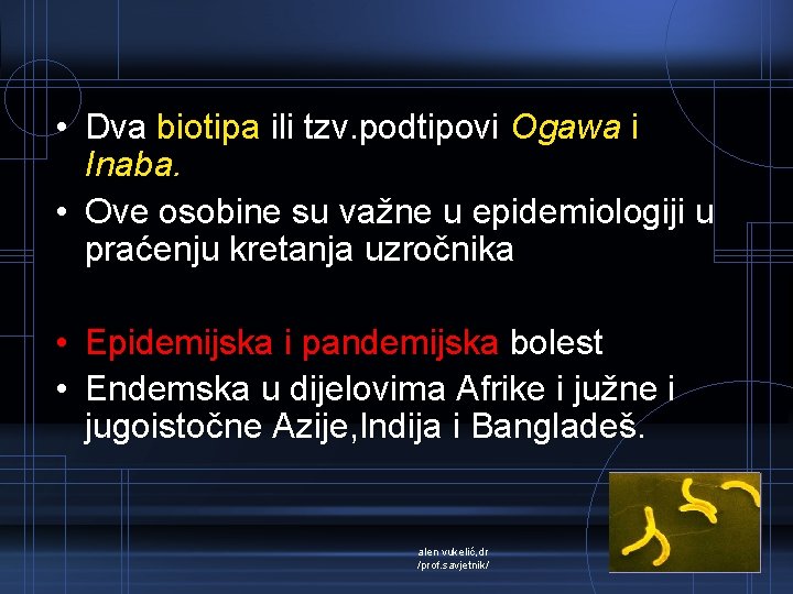  • Dva biotipa ili tzv. podtipovi Ogawa i Inaba. • Ove osobine su