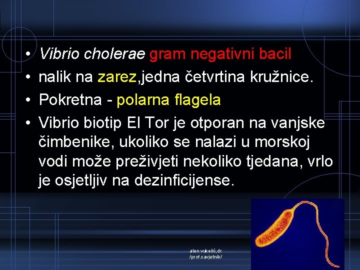  • • Vibrio cholerae gram negativni bacil nalik na zarez, jedna četvrtina kružnice.