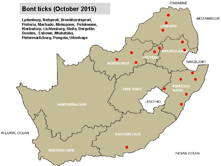 Bont ticks (October 2015) jkccff Lydenburg, Nelspruit, Bronkhorstspruit, Pretoria, Machado, Mokopane, Polokwane, Klerksdorp, Lichtenburg,