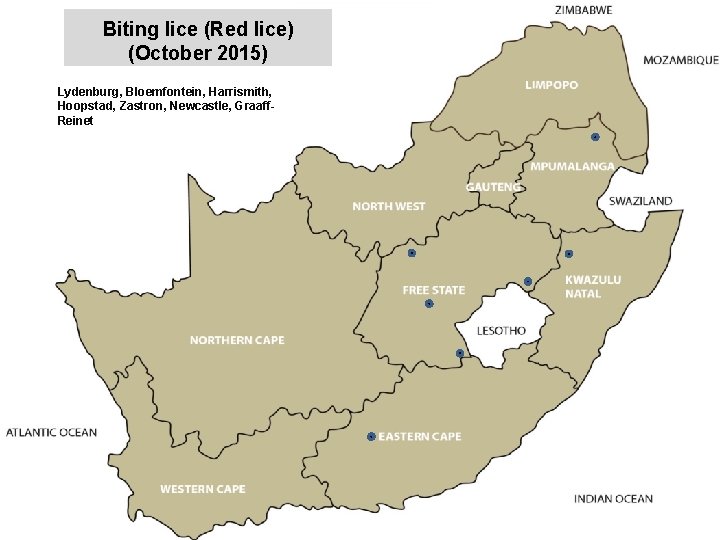 Biting lice (Red lice) (October 2015) Lydenburg, Bloemfontein, Harrismith, Hoopstad, Zastron, Newcastle, Graaff. Reinet