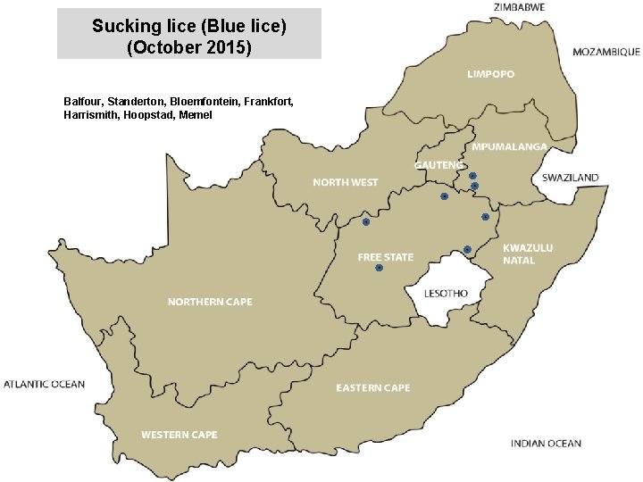 Sucking lice (Blue lice) (October 2015) jkccff Balfour, Standerton, Bloemfontein, Frankfort, Harrismith, Hoopstad, Memel