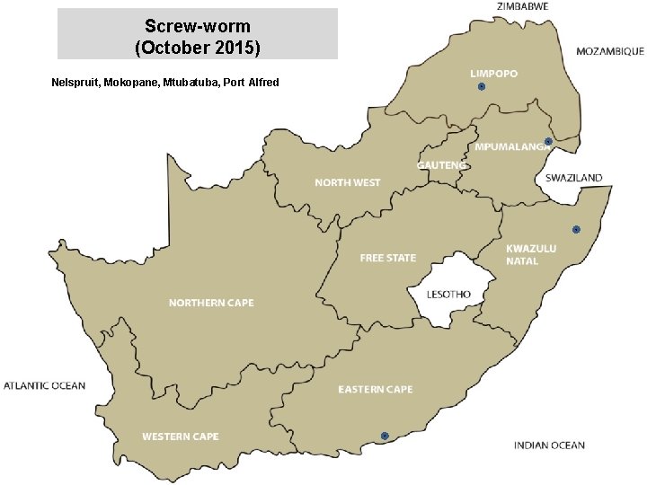 Screw-worm (October 2015) Nelspruit, Mokopane, Mtuba, Port Alfred jkccff 