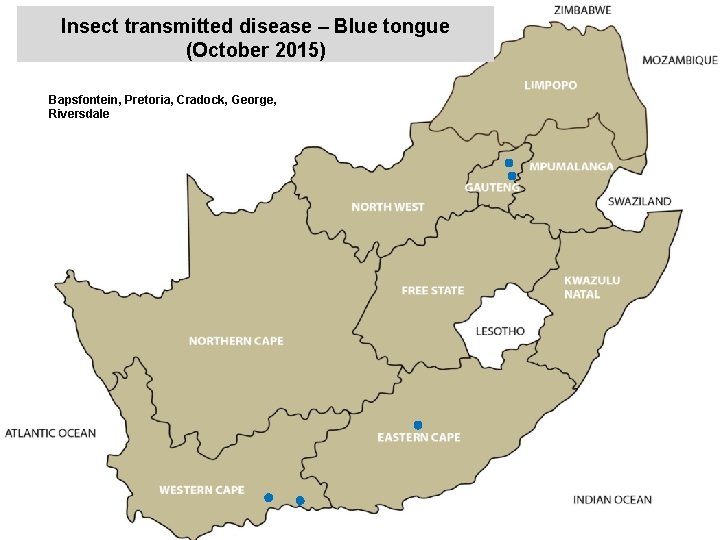 Insect transmitted disease – Blue tongue (October 2015) Bapsfontein, Pretoria, Cradock, George, Riversdale kjkjnmn