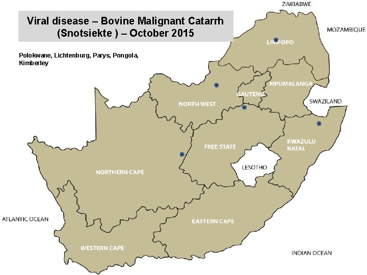 Viral disease – Bovine Malignant Catarrh (Snotsiekte ) – October 2015 kjkjnmn Polokwane, Lichtenburg,