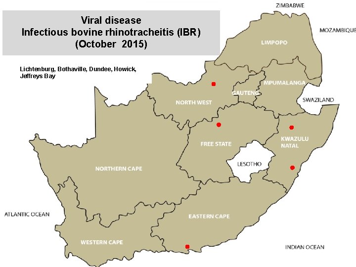 Viral disease Infectious bovine rhinotracheitis (IBR) (October 2015) kjkjnmn Lichtenburg, Bothaville, Dundee, Howick, Jeffreys