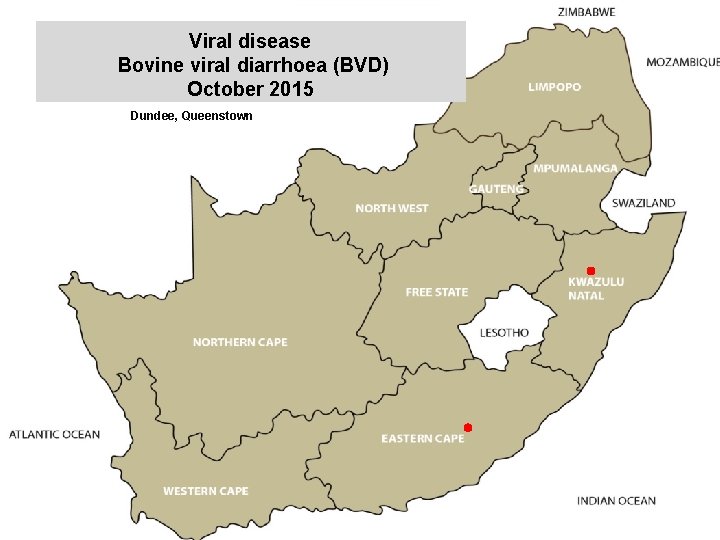 Viral disease Bovine viral diarrhoea (BVD) October 2015 kjkjnmn Dundee, Queenstown 