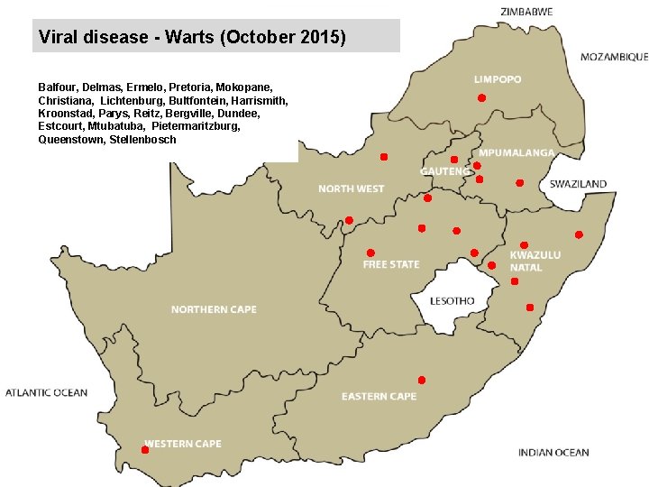 Viral disease - Warts (October 2015) kjkjnmn Balfour, Delmas, Ermelo, Pretoria, Mokopane, Christiana, Lichtenburg,