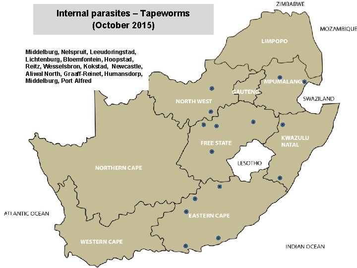 Internal parasites – Tapeworms (October 2015) jkccff Middelburg, Nelspruit, Leeudoringstad, Lichtenburg, Bloemfontein, Hoopstad, Reitz,
