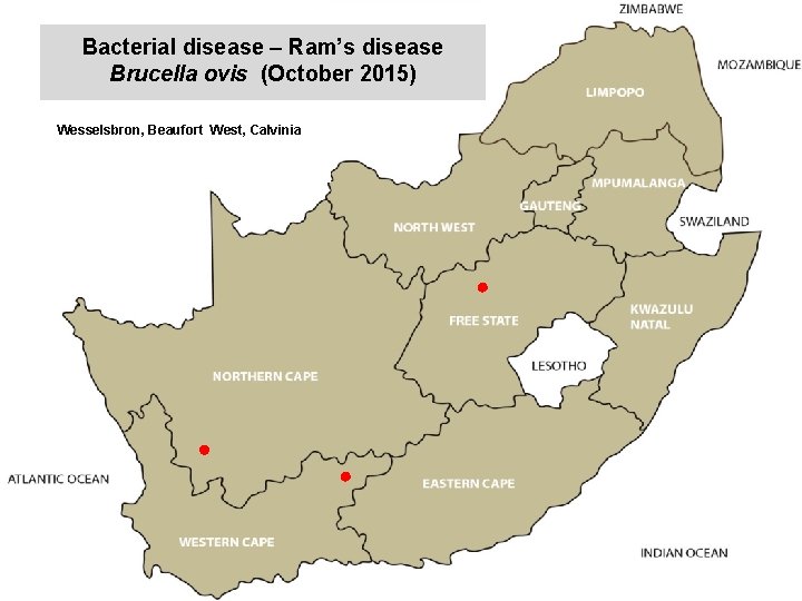 Bacterial disease – Ram’s disease Brucella ovis (October 2015) kjkjnmn Wesselsbron, Beaufort West, Calvinia
