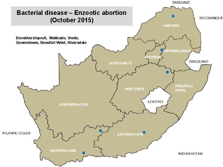 Bacterial disease – Enzootic abortion (October 2015) kjkjnmn Bronkhorstspruit, Makhado, Vrede, Queenstown, Beaufort West,