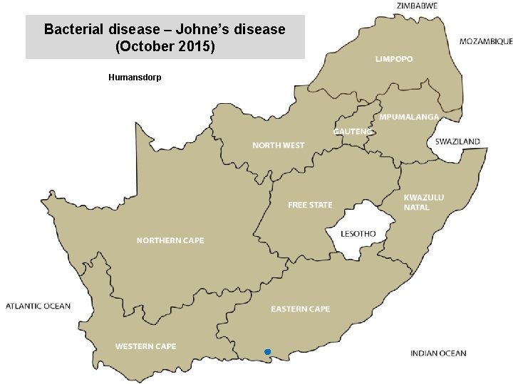 Bacterial disease – Johne’s disease (October 2015) kjkjnmn Humansdorp 