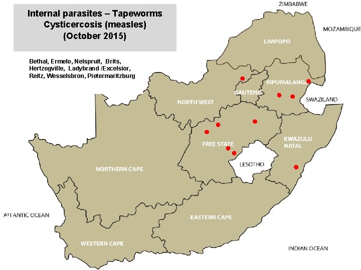 Internal parasites – Tapeworms Cysticercosis (measles) (October 2015) jkccff Bethal, Ermelo, Nelspruit, Brits, Hertzogville,