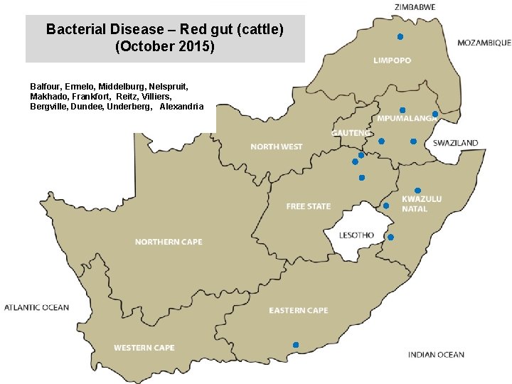 Bacterial Disease – Red gut (cattle) (October 2015) kjkjnmn Balfour, Ermelo, Middelburg, Nelspruit, Makhado,