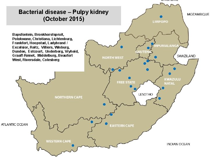 Bacterial disease – Pulpy kidney (October 2015) kjkjnmn Bapsfontein, Bronkhorstspruit, Polokwane, Christiana, Lichtenburg, Frankfort,