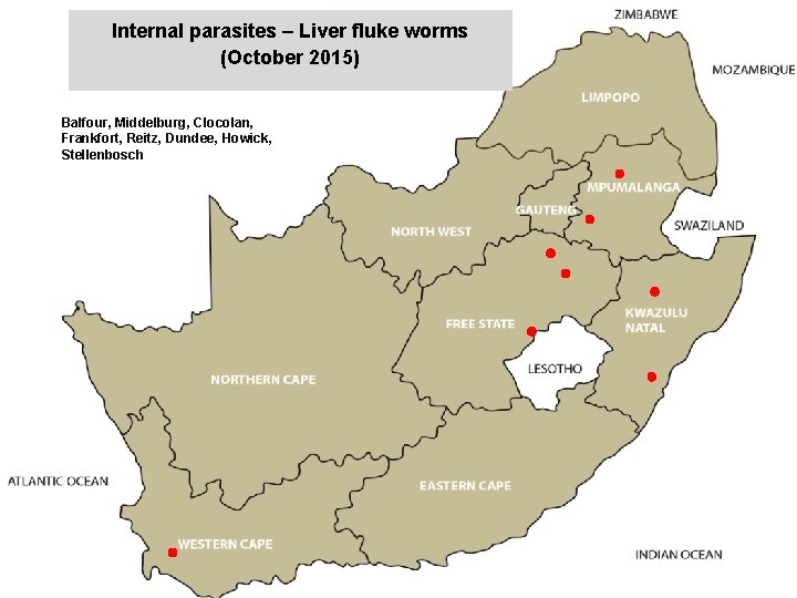 Internal parasites – Liver fluke worms (October 2015) jkccff Balfour, Middelburg, Clocolan, Frankfort, Reitz,