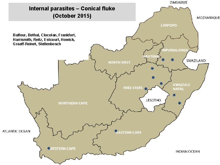 Internal parasites – Conical fluke (October 2015) jkccff Balfour, Bethal, Clocolan, Frankfort, Harrismith, Reitz,