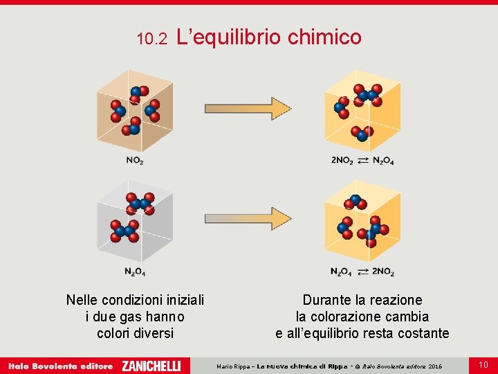 10. 2 L’equilibrio chimico Nelle condizioni iniziali i due gas hanno colori diversi Durante 10. 2 L’equilibrio chimico Nelle condizioni iniziali i due gas hanno colori diversi Durante