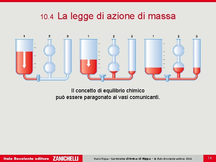 10. 4 La legge di azione di massa Il concetto di equilibrio chimico può 10. 4 La legge di azione di massa Il concetto di equilibrio chimico può