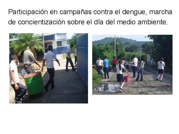 Participación en campañas contra el dengue, marcha de concientización sobre el día del medio