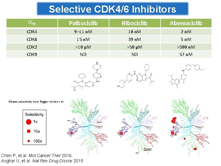 Selective CDK 4/6 Inhibitors IC 50 Palbociclib Ribociclib Abemaciclib CDK 4 9– 11 n.