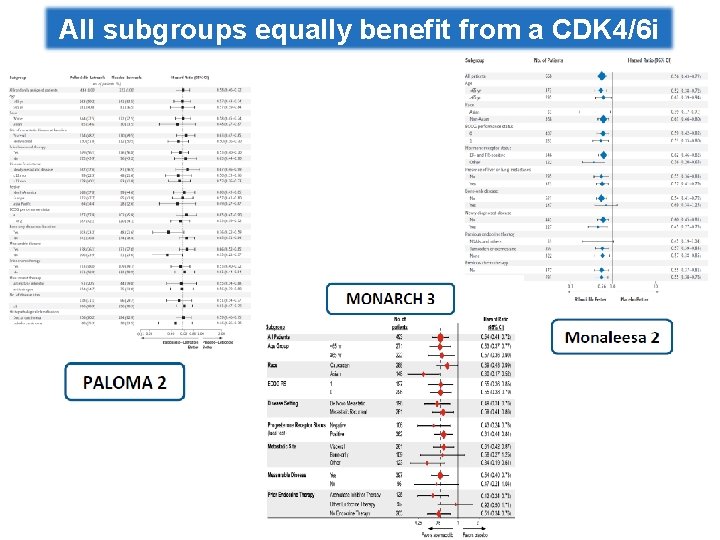 All subgroups equally benefit from a CDK 4/6 i 