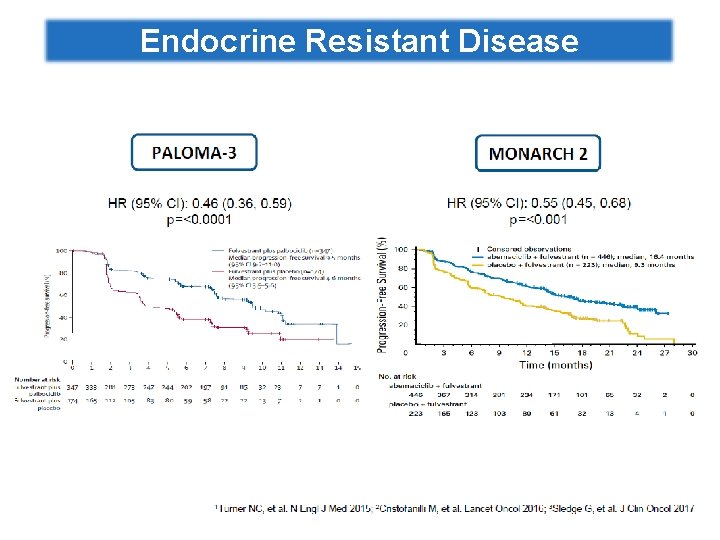 Endocrine Resistant Disease 