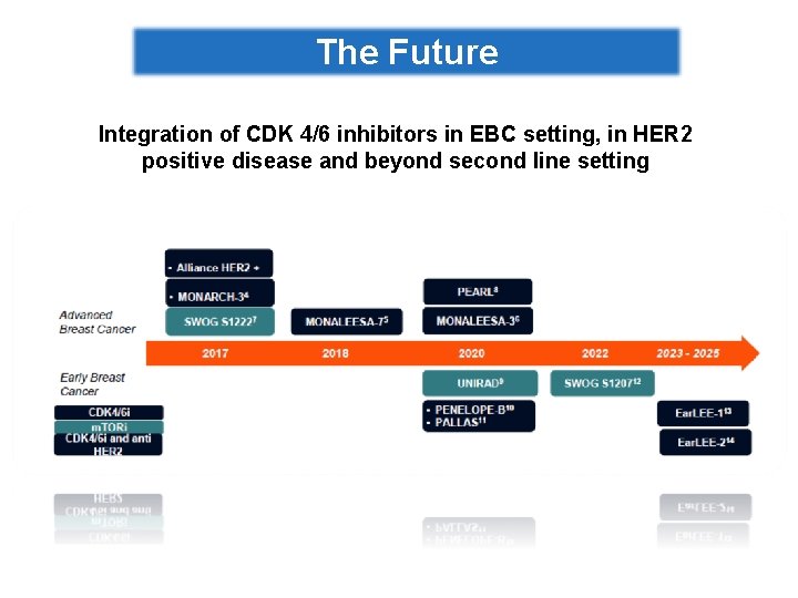 The Future Integration of CDK 4/6 inhibitors in EBC setting, in HER 2 positive