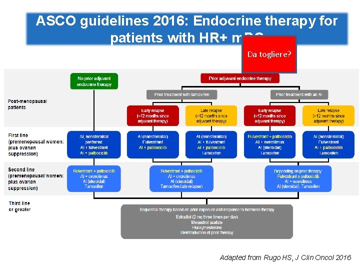 ASCO guidelines 2016: Endocrine therapy for patients with HR+ m. BC Da togliere? Adapted