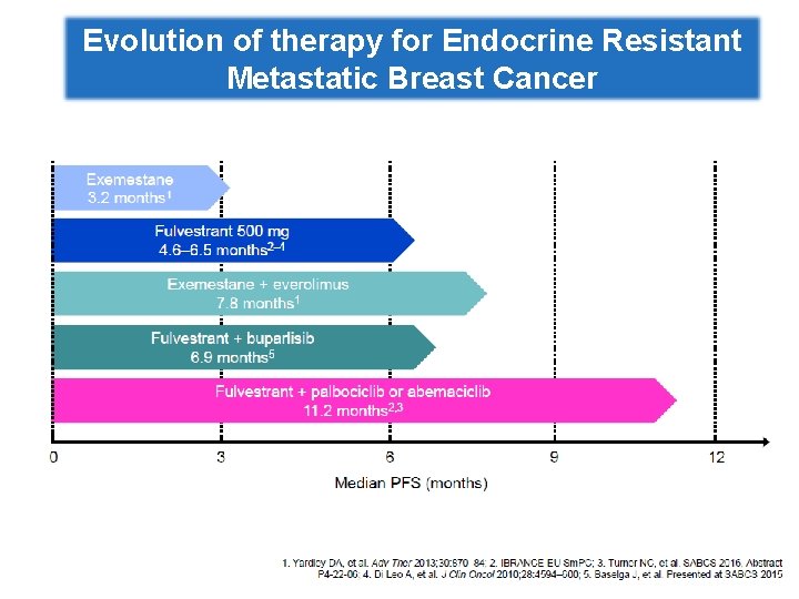 Evolution of therapy for Endocrine Resistant Metastatic Breast Cancer 