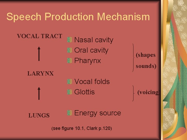 Speech Production Mechanism VOCAL TRACT Nasal cavity Oral cavity Pharynx (shapes sounds) LARYNX Vocal Speech Production Mechanism VOCAL TRACT Nasal cavity Oral cavity Pharynx (shapes sounds) LARYNX Vocal