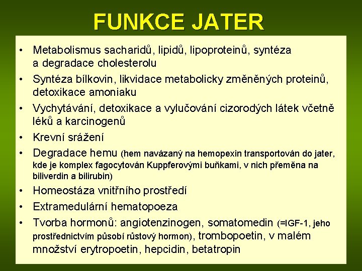 FUNKCE JATER • Metabolismus sacharidů, lipoproteinů, syntéza a degradace cholesterolu • Syntéza bílkovin, likvidace