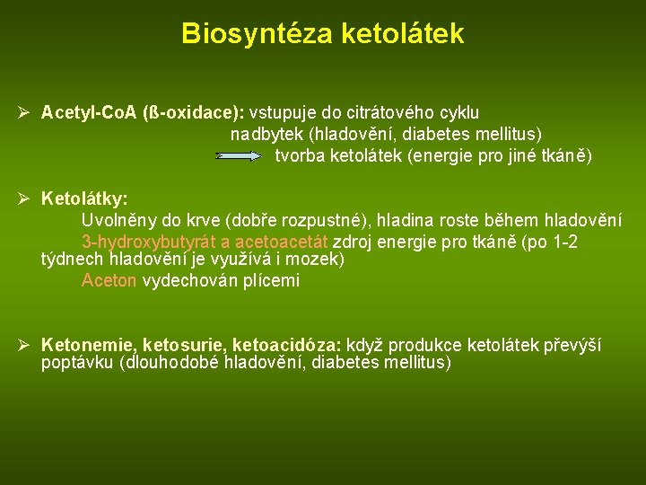 Biosyntéza ketolátek Ø Acetyl-Co. A (ß-oxidace): vstupuje do citrátového cyklu nadbytek (hladovění, diabetes mellitus)