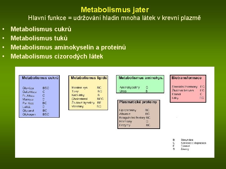 Metabolismus jater Hlavní funkce = udržování hladin mnoha látek v krevní plazmě • •