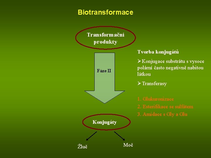 Biotransformace Transformační produkty Tvorba konjugátů ØKonjugace substrátu s vysoce polární často negativně nabitou látkou