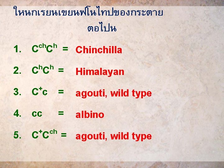 ใหนกเรยนเขยนฟโนไทปของกระตาย ตอไปน 1. 2. 3. 4. 5. ch h C C = h h