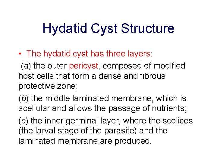 Hydatid Cyst Structure • The hydatid cyst has three layers: (a) the outer pericyst,